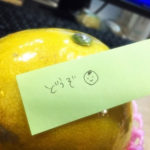 地味を英語で言うと