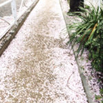 時が止まってましたね