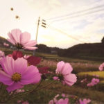 あだたらやまって読みます。