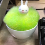 3枚しか持ってません!を英語で言うと