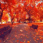Autumnal Reflections
