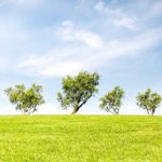 Ways or Tips to Be More Eco-Friendly