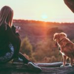 Rural Wisconsin; A Paradise for Dogs