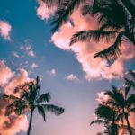 The Pros and Cons of Group Tours 3
