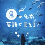 魚の名前英語で言える?