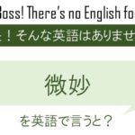 微妙を英語で言うと