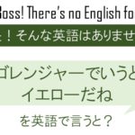 ゴレンジャーで言うとイエローだねを英語で言うと