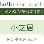 小芝居を英語で言うと