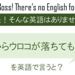 目からウロコが落ちても戻るを英語で言うと