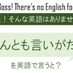 なんとも言いがたいを英語で言うと