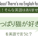 やっぱり猫が好き。を英語で言うと