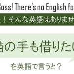 猫の手も借りたいを英語で言うと(も?を?)