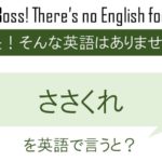 ささくれを英語で言うと