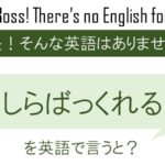 しらばっくれるを英語で言うと