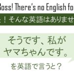 そうです。私がヤマちゃんです。を英語で言うと