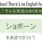 ショボーンを英語で言うと