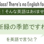新緑の季節ですねを英語で言うと