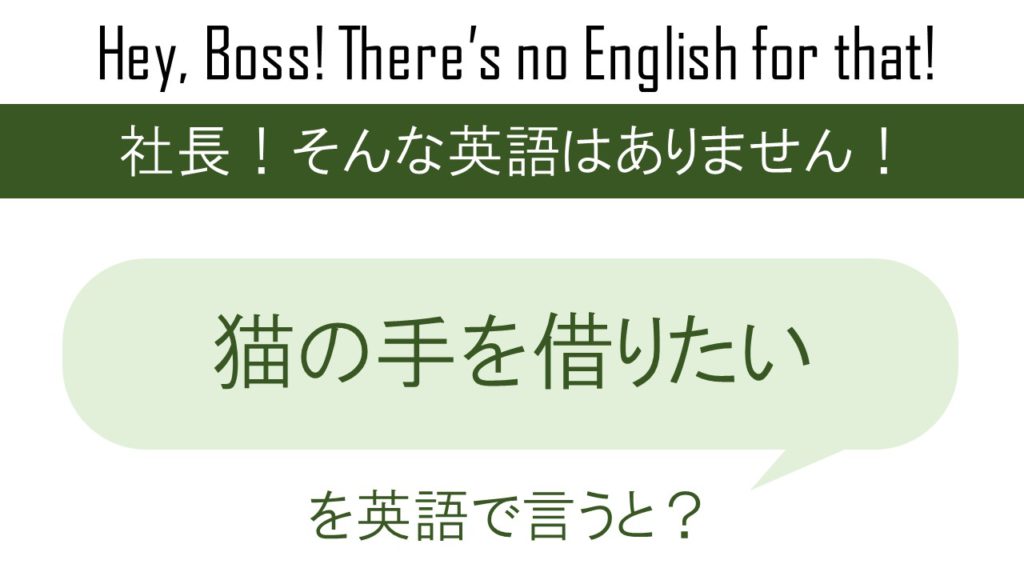 猫の手を借りたいを英語で言うと（社長！四回目四回目！）