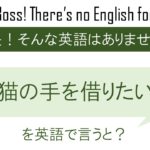 猫の手を借りたいを英語で言うと(社長!四回目四回目!)