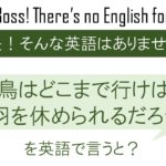 鳥はどこまで行けば羽を休められるだろうを英語で言うと