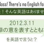 2012.3.11 哀悼の意を表すとともに・・・を英語で言うと