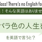 バラ色の人生を英語で言うと