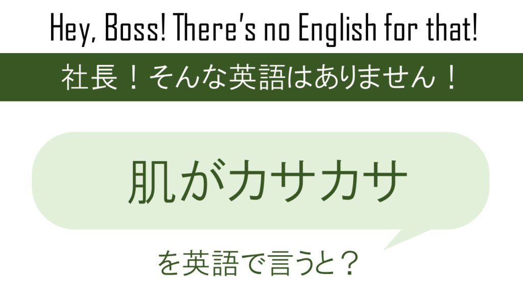 【番外編】肌がカサカサを英語で言うと
