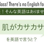 【番外編】肌がカサカサを英語で言うと
