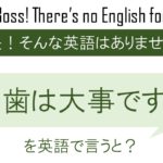 桜は儚いからこそ美しい を英語で言うと 英会話研究所