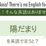 【番外編】陽だまりを英語で言うと