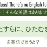 ひたすらに、ひたむきにを英語で言うと