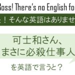 可士和さん、まさに必殺仕事人、を英語で言うと