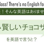 鶴は千年 亀は万年 英語は3年を英語で言うと 英会話研究所