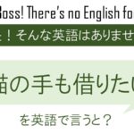 猫の手も借りたいを英語で言うと(一匹余ってたら回して)