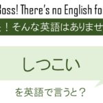 しつこいを英語で言うと