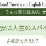不安は人生のスパイスを英語で言うと