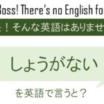 しょうがないを英語で言うと