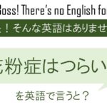 花粉症はつらいよを英語で言うと