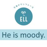 英語で「彼は気分屋だよね」