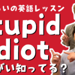 StupidとIdiotの違い知ってる?【5分くらいの英語レッスン】