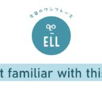 「この辺りには詳しくありません」を英語で言うと