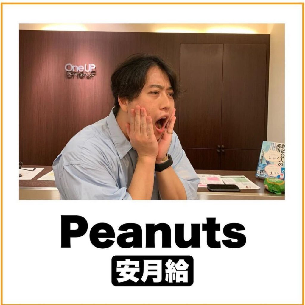 安月給を英語で言うと