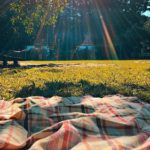 Spring Plans