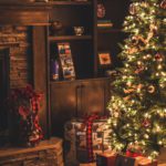 How Do You Like to Spend Christmas?