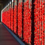 Gallipoli and the ANZAC Spirit