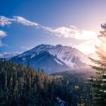 How often should you visit your home country while living abroad? Why?