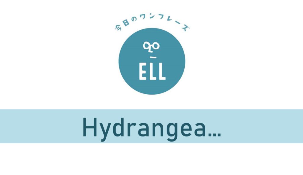 お花の名前を英語で言うと・・？