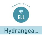 お花の名前を英語で言うと・・?