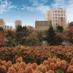 What are the pros and cons of living in or visiting your hometown?