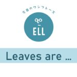 <<紅葉に関する英語フレーズ>>